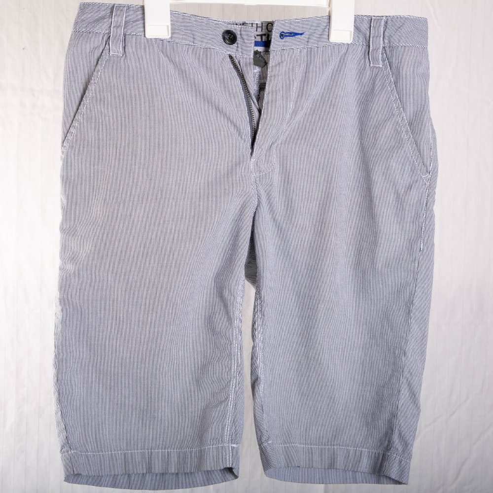 Men's Kenneth Cole Reaction Blue Stripe Shorts 30-inch Waist